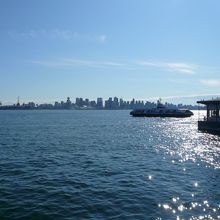 右手に写ってるのがシーバス