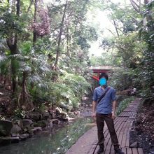 渓谷の下には谷沢川が流れています。