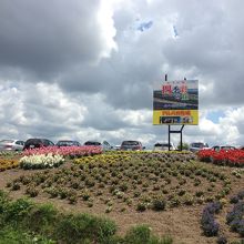 曇りでも、楽しめました。