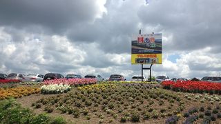 花がいっぱい！