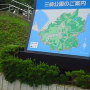 広々とした公園