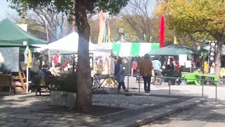 イベントの多い公園