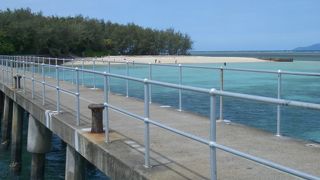 二兎追うものは・・・