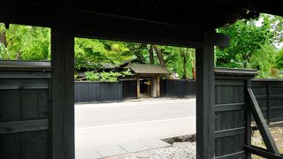 天然記念物の柏の木は幹・葉などとてもみごと