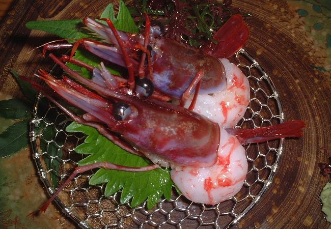 北海道の食を満喫できます