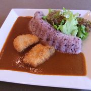 黒部ダムカレー食べました！