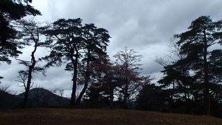 吉野奥千本を見渡せます。奥千本の水分神社から10分ほど山道を登っていくと、この高城山展望台に着きます。