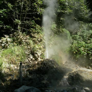 綺麗な遊歩道が整備されてた