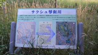 広域に流れるサクシュコトニ川