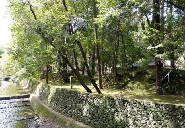 世界遺産 西芳寺（苔寺）