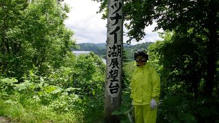 深い原生林に囲まれた湖