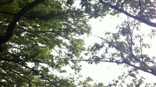 みなとみらいを見守っています!!