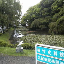 広い城内は夏は新緑に包まれます。