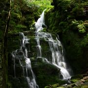 苔むした岩を流れ落ちる滝