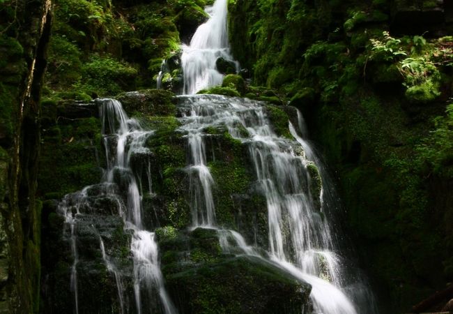 苔むした岩を流れ落ちる滝