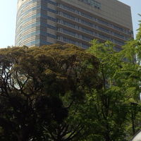 山下公園から撮影したタワー館の外観です