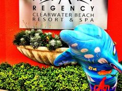 Hyatt Regency Clearwater Beach Resort 写真