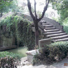 歴史のある橋。橋全体を緑が覆う。