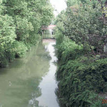 水路の両側は緑に覆われています。