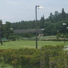 パターゴルフ場