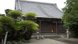 この辺りは、他にも、節信院・永寿院・妙楽寺など名刹が集まっています