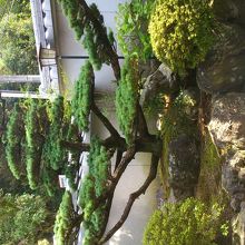 お庭を見ながら しばしの休憩