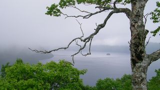 静かな摩周湖の眺めを楽しめる