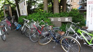 貸しボートで水遊びが楽しめます。