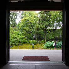 新霊宝殿からの風景です