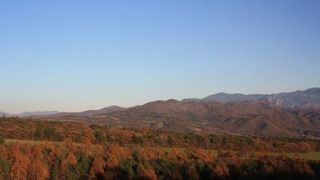 富士山がきれいに見えました
