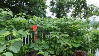 宝仙湖展望台にて下車したところ