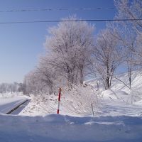 行った頃は1番寒い季節