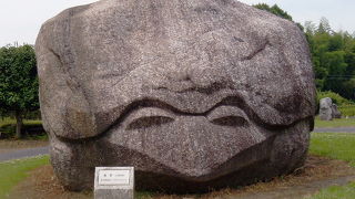 かわいい亀の形をした石