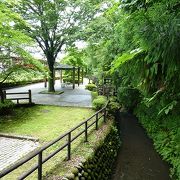 水車が涼しさを演出する杉並木公園