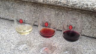 老舗ワイナリーでテイスティング