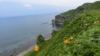 積丹ブルーだけでなく、お花も岩も楽しめました