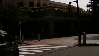 緑も多く、すがすがしい場所。