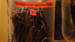 バニラビーンズの種類が豊富！