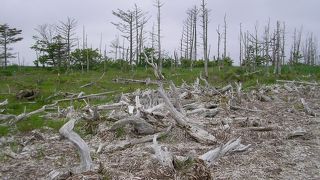 荒涼とした不思議な風景