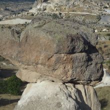 ゾウ！鼻短いけど気にしない