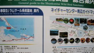 トドワラ巡りの馬車が出ています