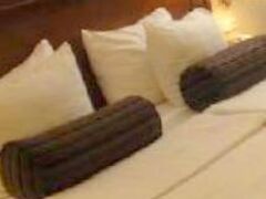 Radisson Blu Palais Hotel, Vienna 写真