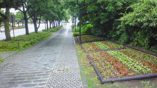 様々な風景を見せる函館の坂道