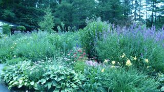 富良野のドラマロケ地訪問