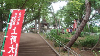 ちょっとインドっぽい