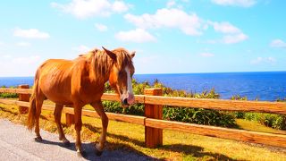 見渡す限り海～～