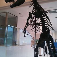 入口でお出迎え。