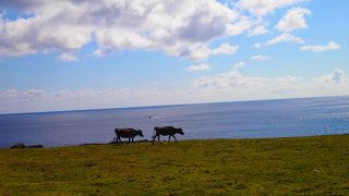 絶景！！空港すぐ横です