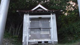 行ってみたら・・