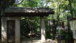 一歩、外に出れば、車の排気ガスが満載の地域の中で、緑が豊富な公園です。